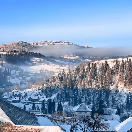 галерея карпат Plave