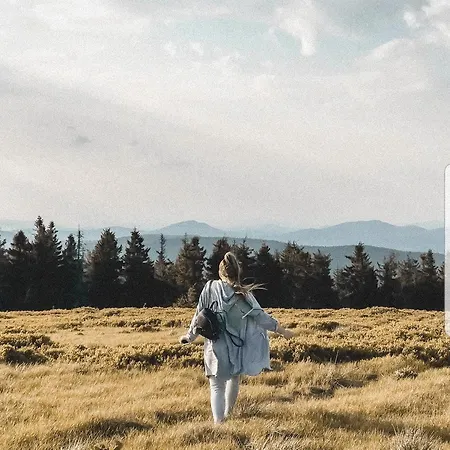 галерея карпат Plave