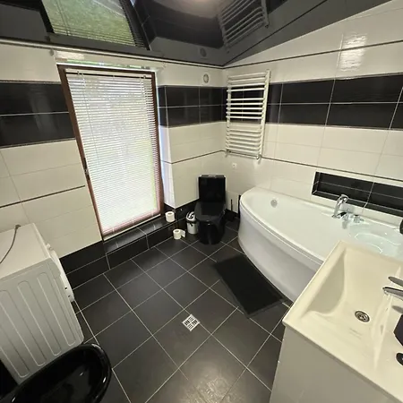 галерея карпат *