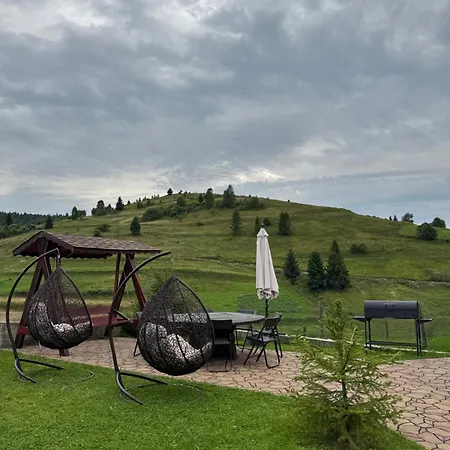 галерея карпат Plave