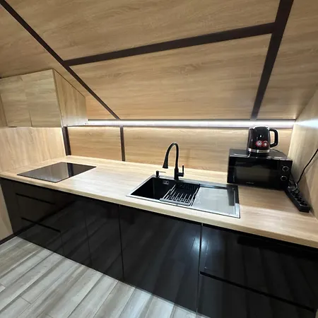 галерея карпат * Plave